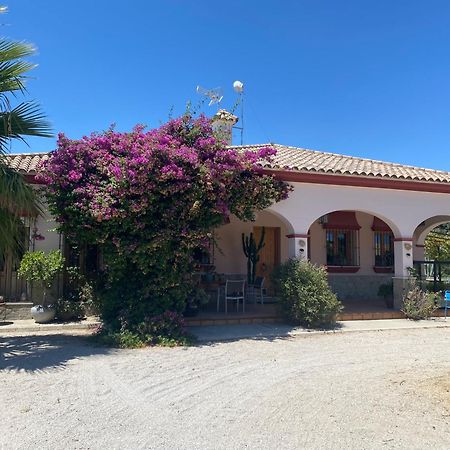 Villa Entre Mer Et Montagne Arcos de la Frontera Exteriör bild
