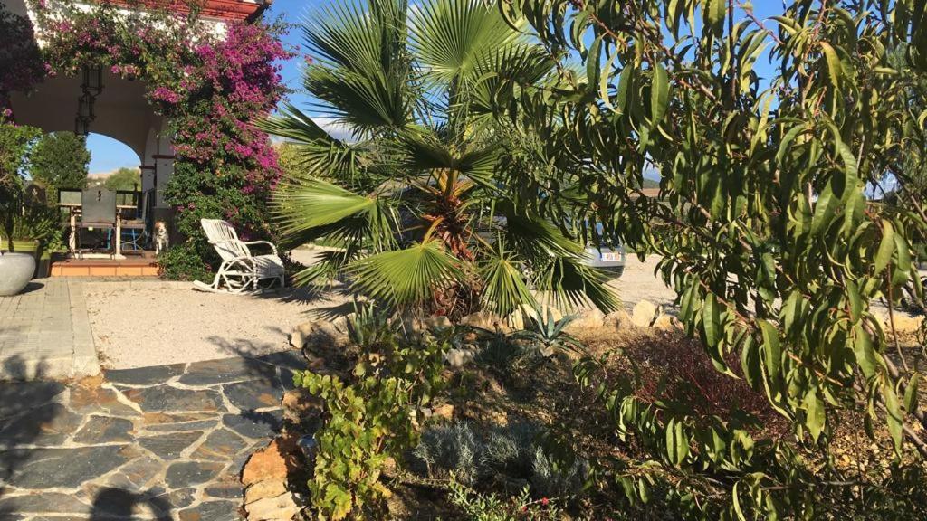 Villa Entre Mer Et Montagne Arcos de la Frontera Exteriör bild