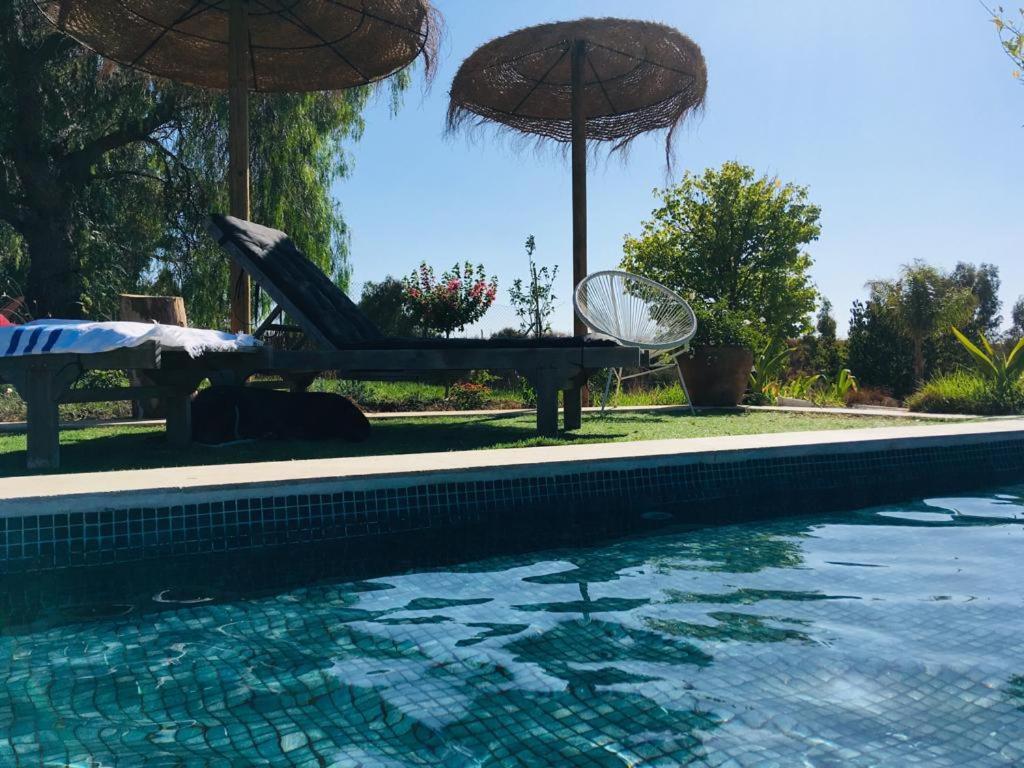 Villa Entre Mer Et Montagne Arcos de la Frontera Exteriör bild
