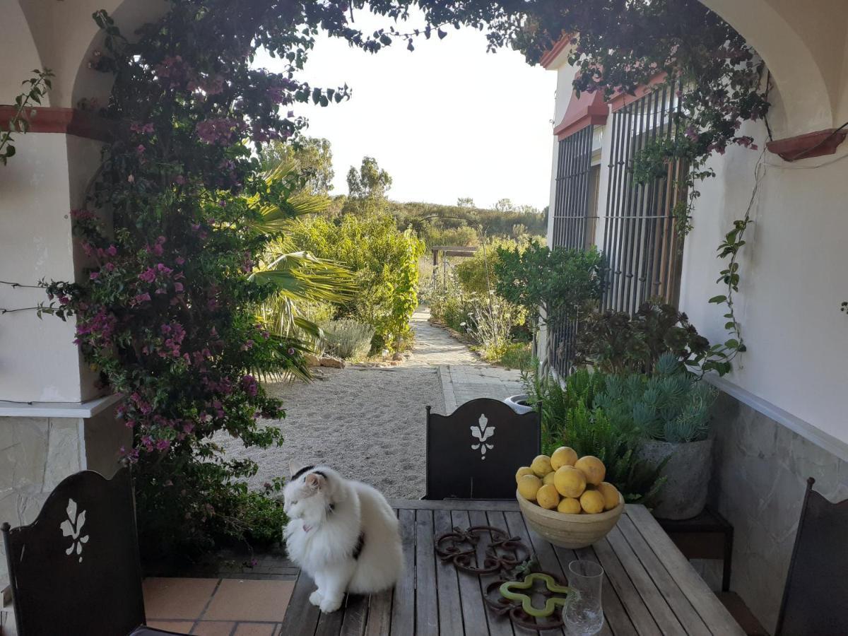 Villa Entre Mer Et Montagne Arcos de la Frontera Exteriör bild