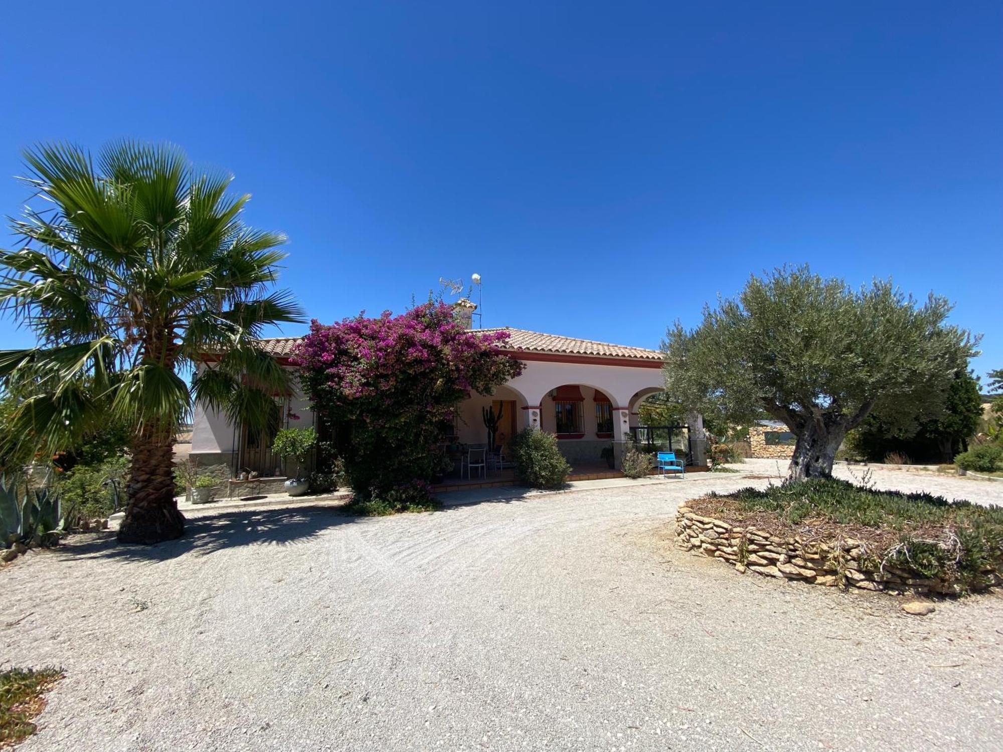 Villa Entre Mer Et Montagne Arcos de la Frontera Exteriör bild